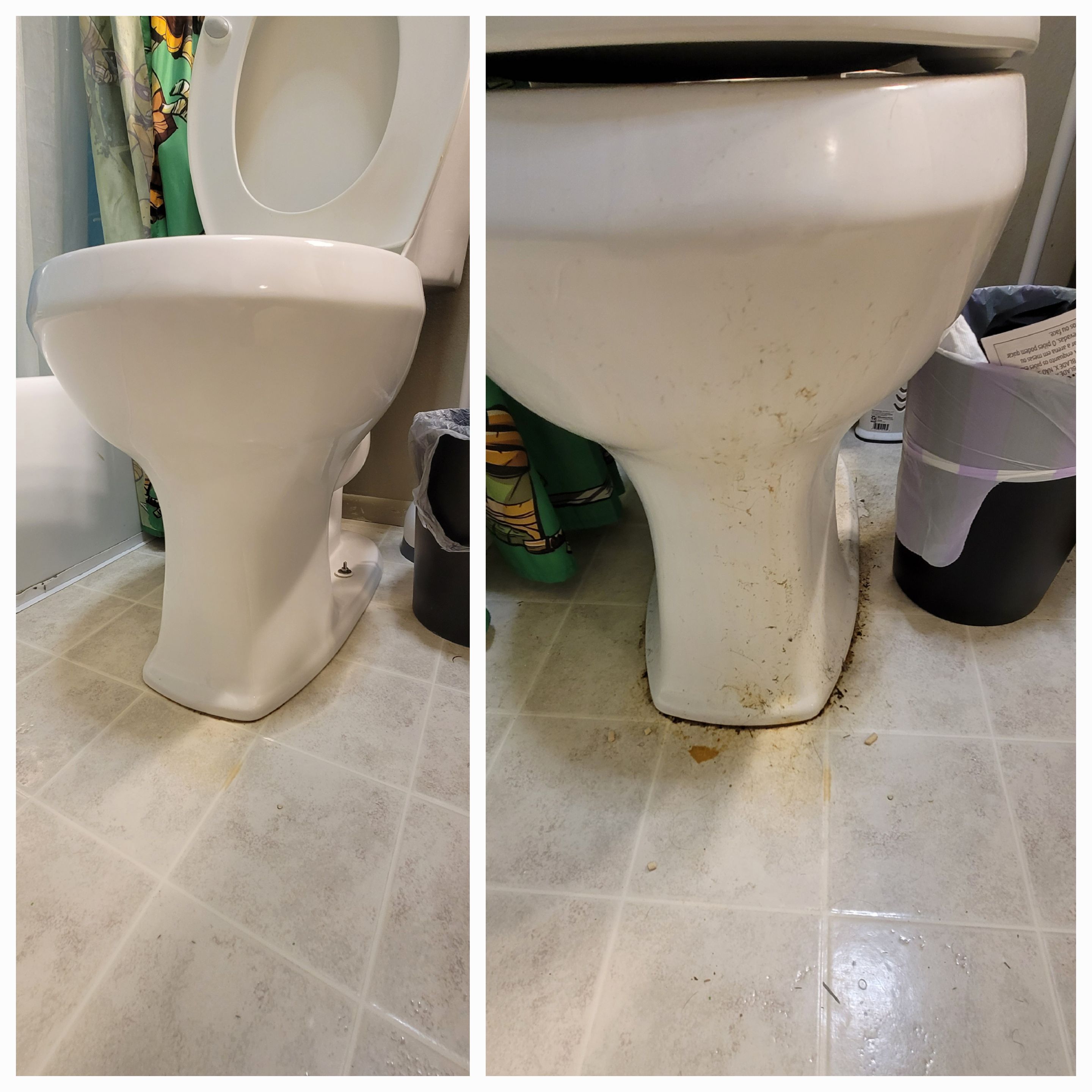 Bathroom Toilet Before and After